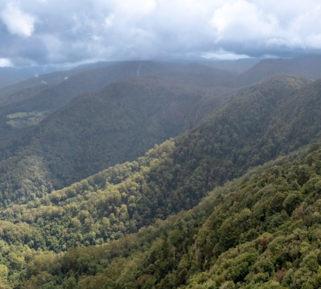 Great Koala National Park Protected