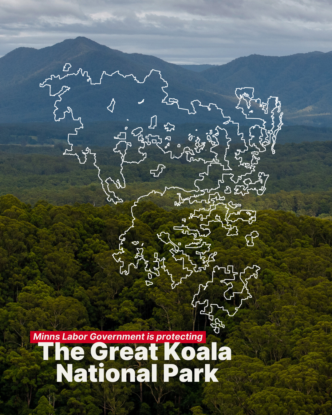 Great Koala National Park